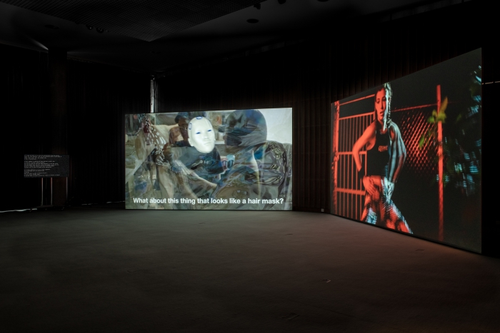 Ausstellungsansicht Molecular Sex von Johanna Bruckner. Foto Luca Girardini, CC NC-SA 4.0